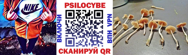 Галлюциногенные грибы MAGIC MUSHROOMS  площадка наркотические препараты  Миллерово 